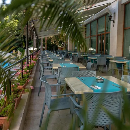 Mirabelle Aranyhomok